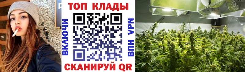 Наркошоп купить АМФ  Меф мяу мяу  СК  ГАШ  Codein  Канабис  Грайворон